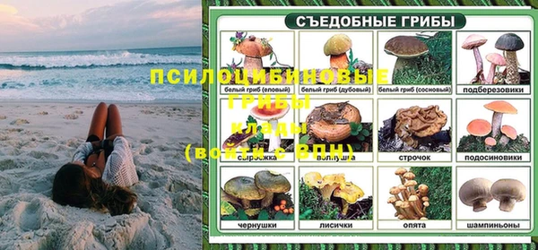 PSILOCYBIN Волосово