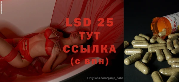 PSILOCYBIN Волосово