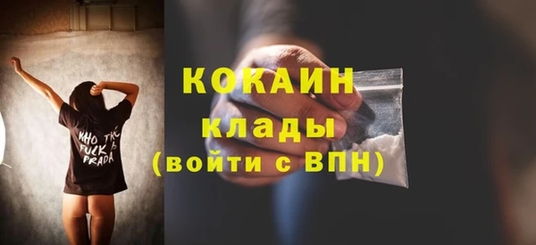 PSILOCYBIN Волосово