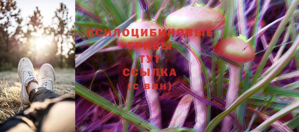соль ск Володарск