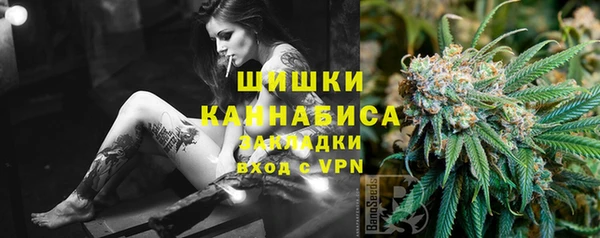 PSILOCYBIN Волосово