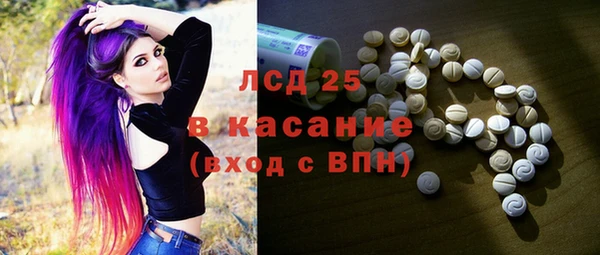 PSILOCYBIN Волосово