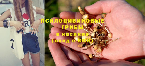 PSILOCYBIN Волосово