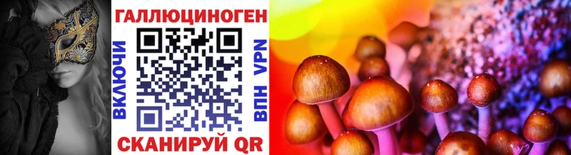 МЕГА ТОР наркошоп Кадников Псилоцибиновые грибы Psilocybine cubensis